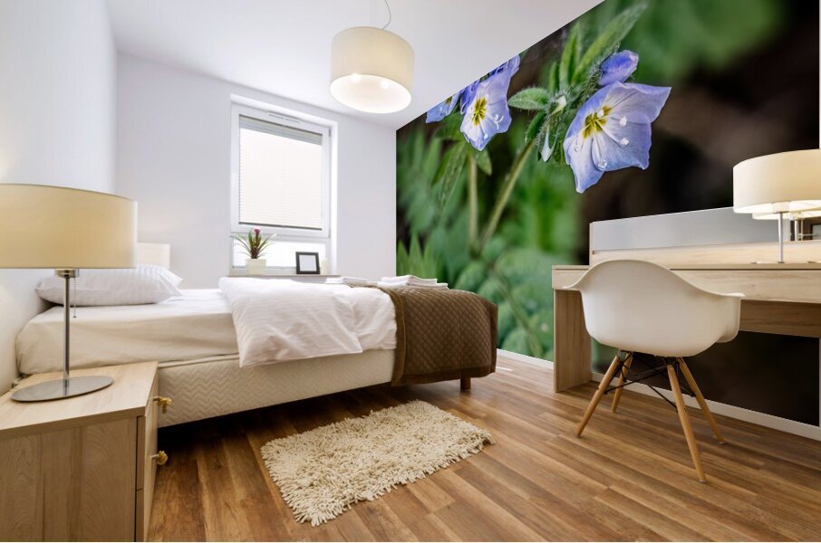 Western Jacobs Ladder Mural print
