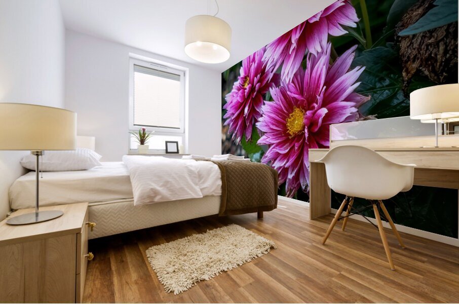 Dahlia 1 Mural print