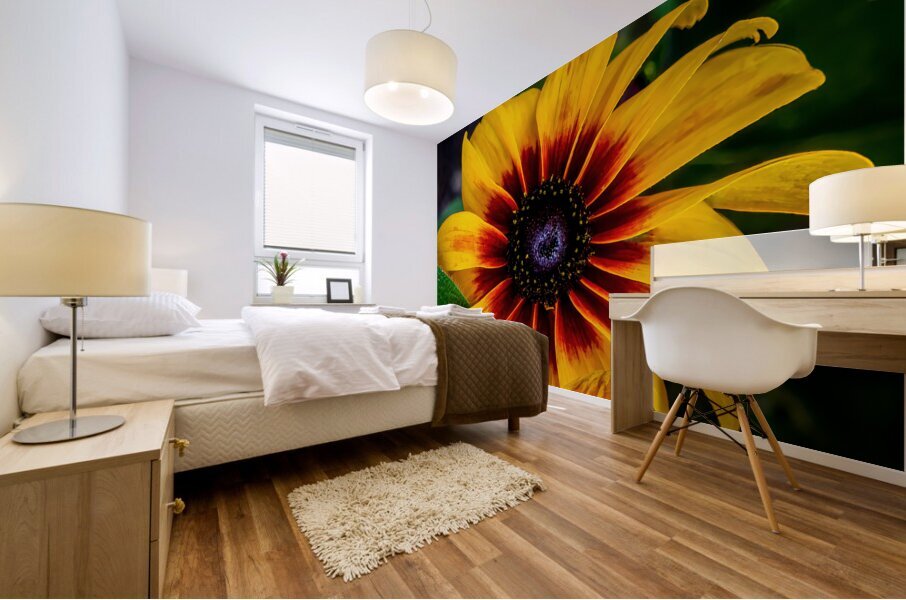 Blackeyed Susan Mural print