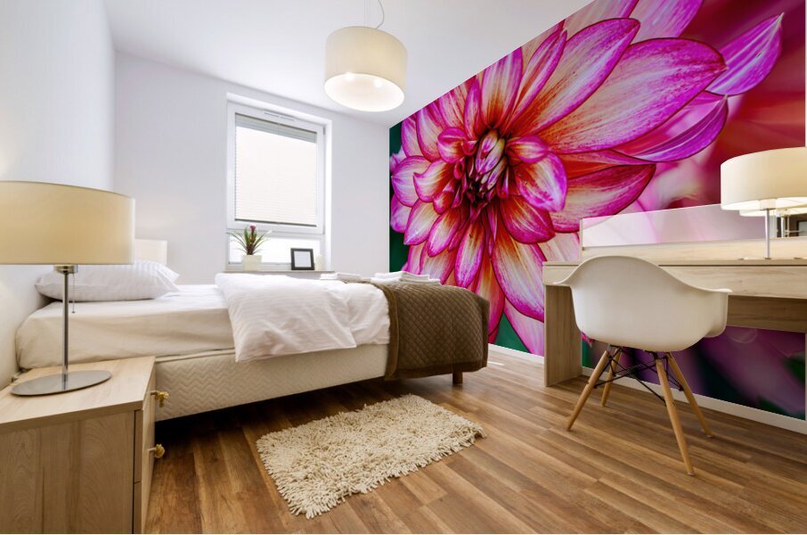 Dahlia 3 Mural print