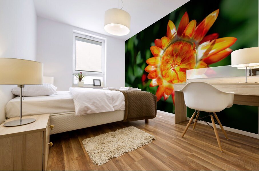 Paper Daisy Mural print