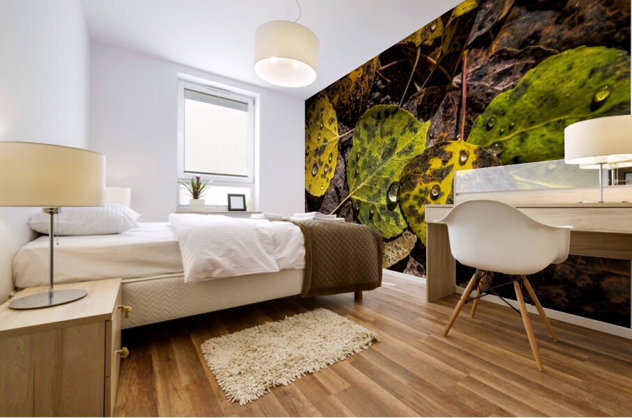 Fallen Aspen Mural print