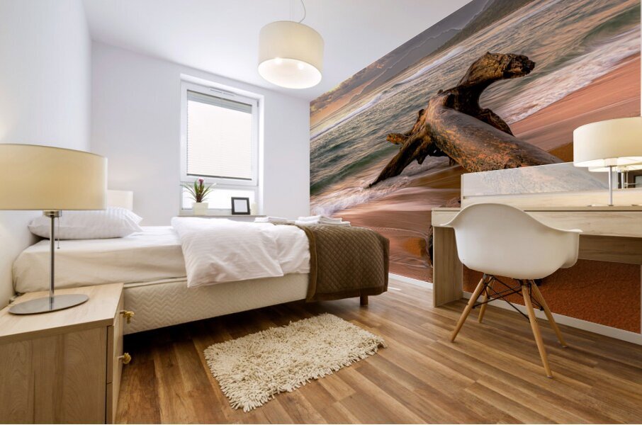 Driftwood Dreaming Mural print