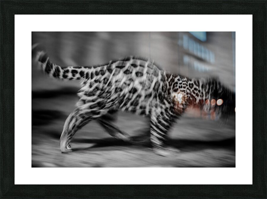 On the Move Picture Frame print