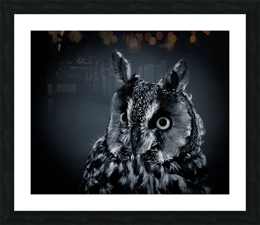 Watchful Owl Picture Frame print