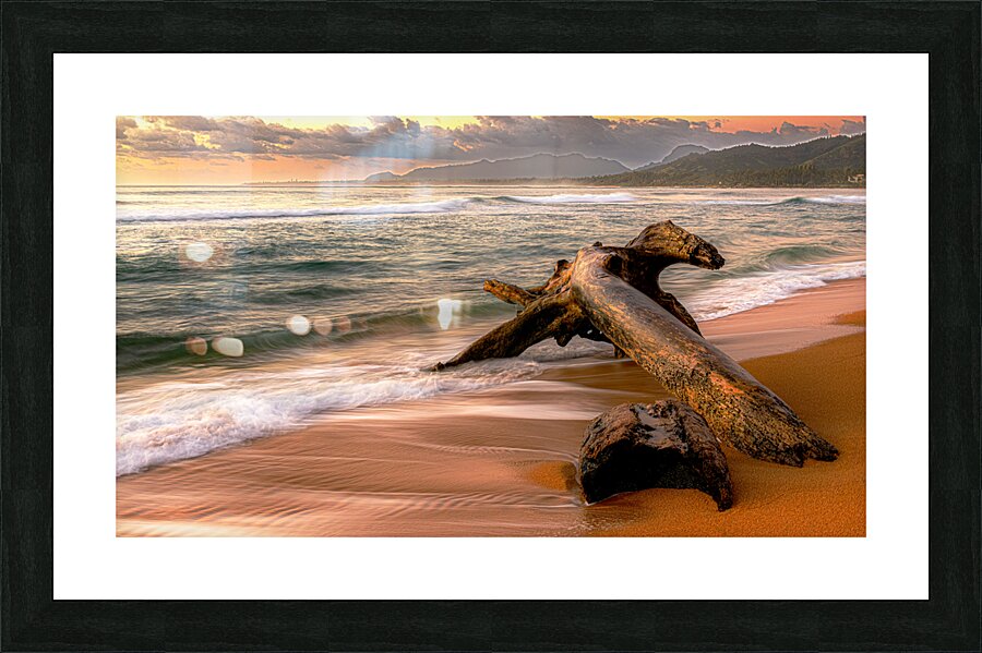 Driftwood Dreaming Picture Frame print
