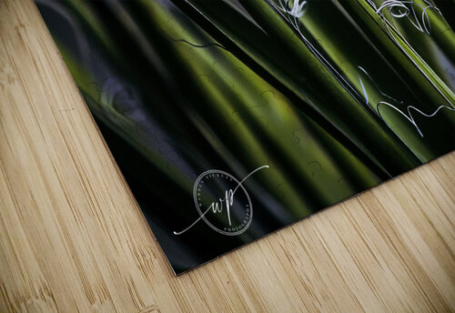 Utah Yucca Warren Pickett Photography puzzle