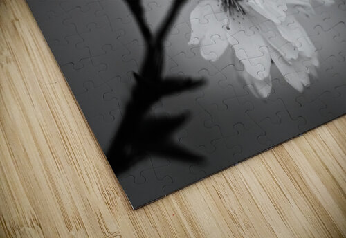 Sakura Warren Pickett Photography puzzle