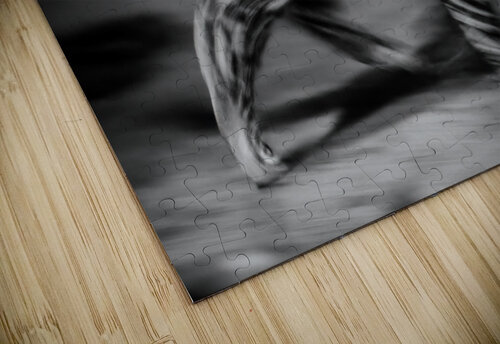 On the Move Warren Pickett Photography puzzle