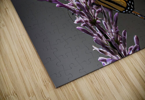 Monarch Warren Pickett Photography puzzle