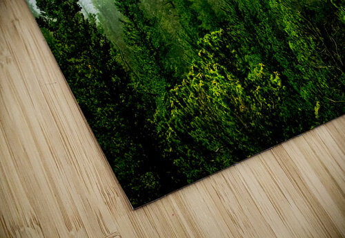 Misty Pines Warren Pickett Photography puzzle
