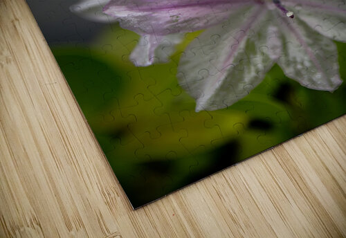 Purple Passion Warren Pickett Photography puzzle