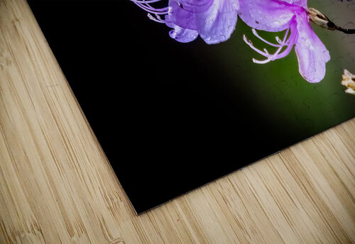 Spring in Japan Warren Pickett Photography puzzle
