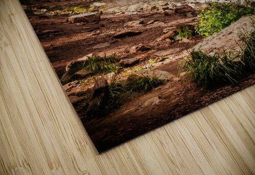 Cascade Falls Warren Pickett Photography puzzle