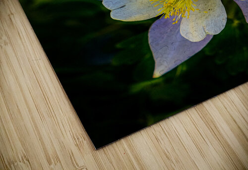 Columbine Warren Pickett Photography puzzle