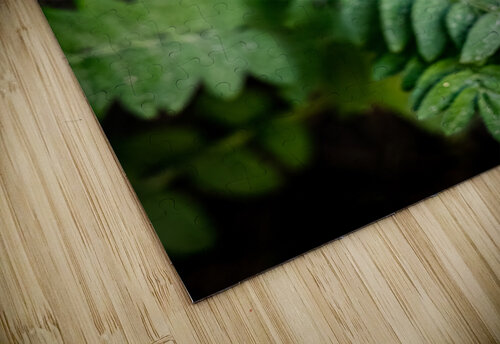 Western Jacobs Ladder Warren Pickett Photography puzzle
