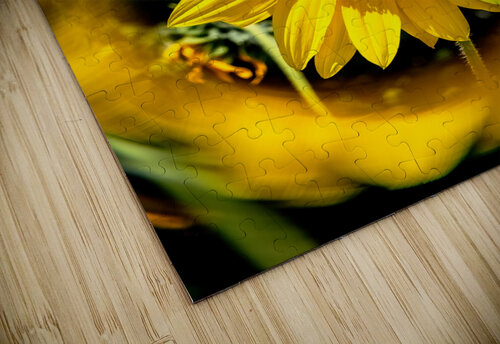 Sunflower 3 Warren Pickett Photography puzzle