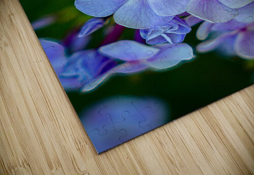 Phlox Warren Pickett Photography puzzle