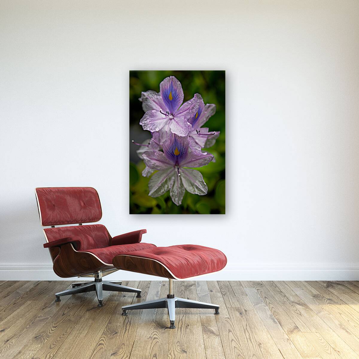 Purple Passion Reproduction