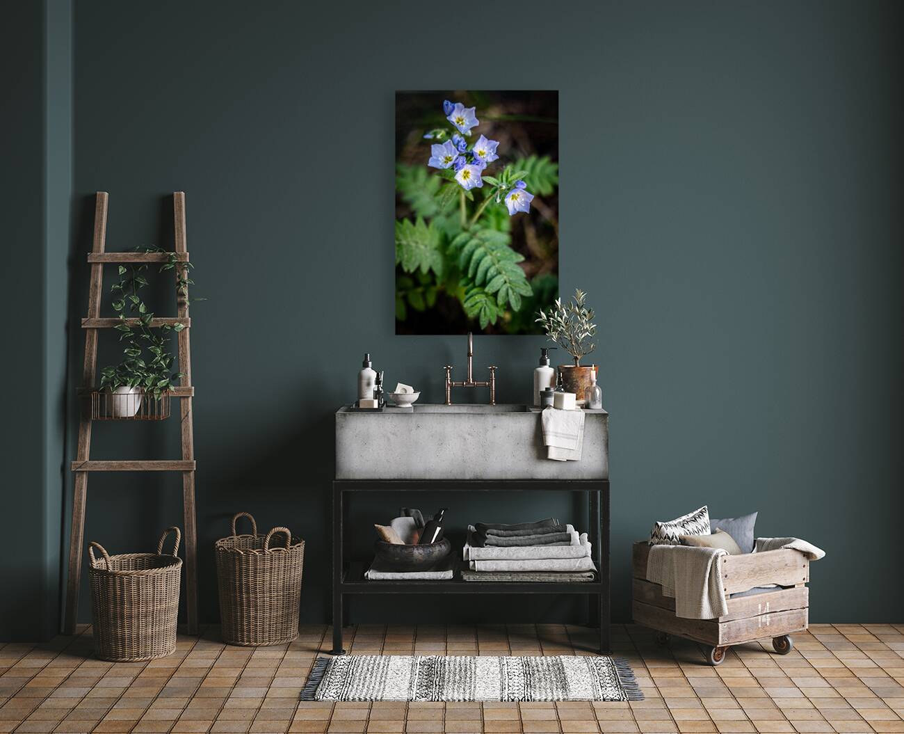 Western Jacobs Ladder Reproduction