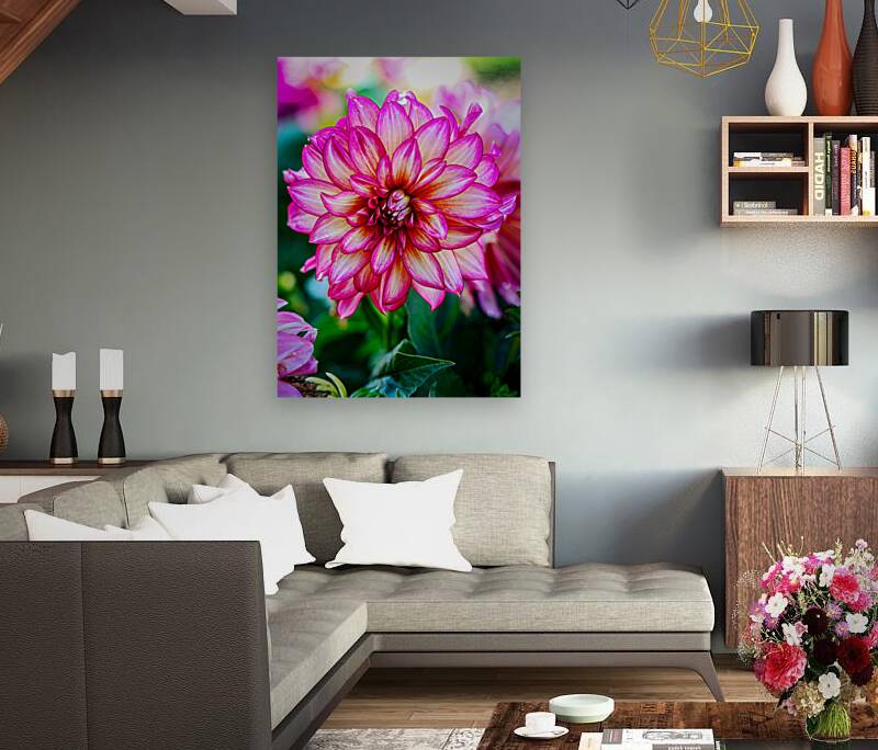 Dahlia 3 Reproduction