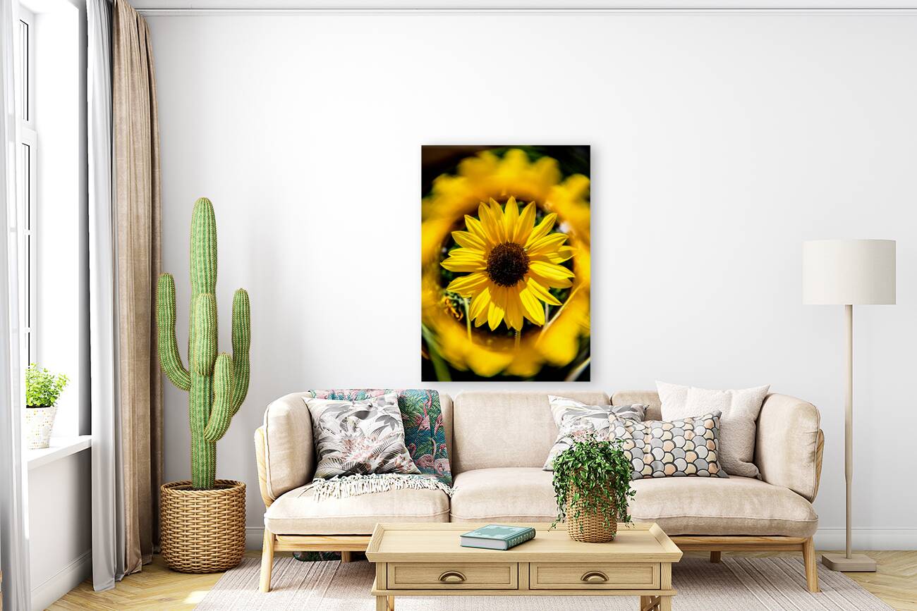 Sunflower 3 Reproduction