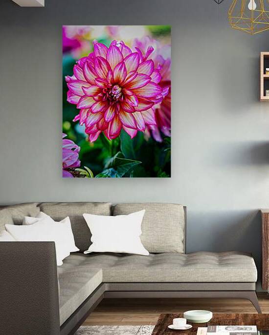 Dahlia 3 by Warren Pickett Photography