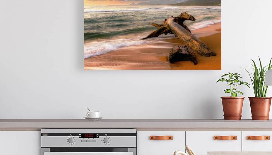 Driftwood Dreaming by Warren Pickett Photography
