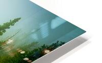Misty Pines HD Metal print