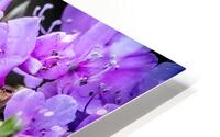 Spring in Japan HD Metal print