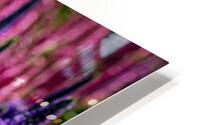 Spiked Speedwell 2 HD Metal print