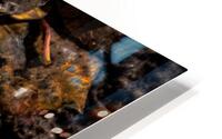 Fallen Aspen HD Metal print