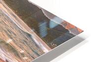 Driftwood Dreaming HD Metal print