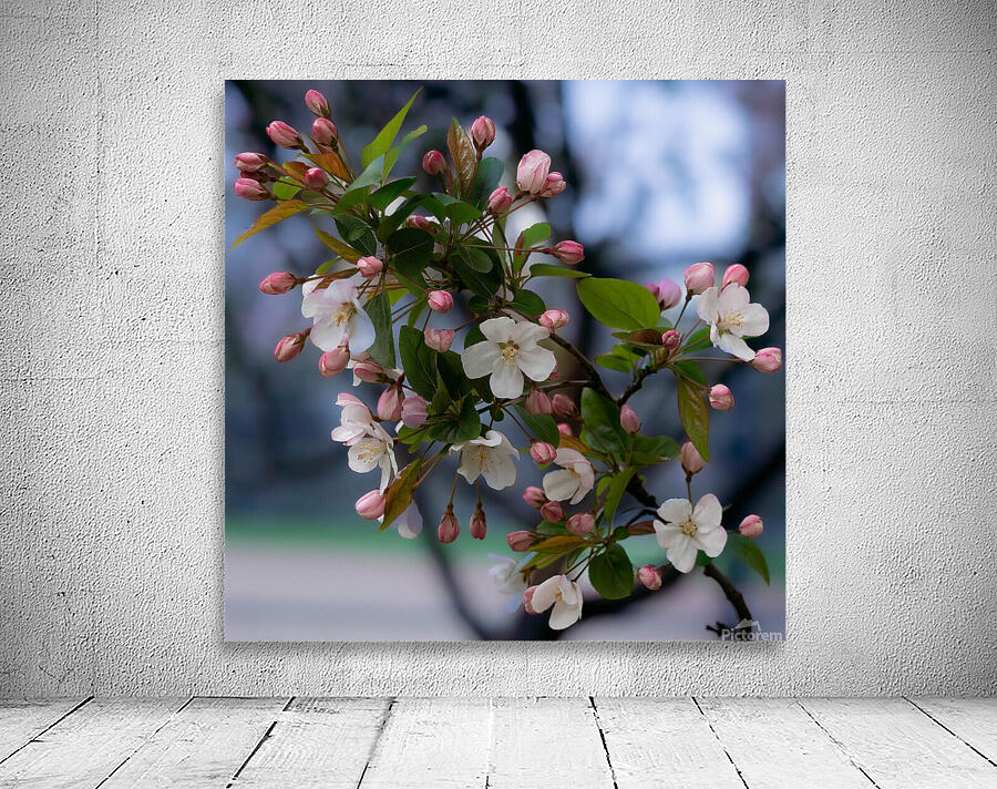 Spring is Here Wall Preview