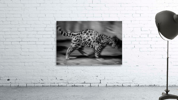 On the Move Wall Preview