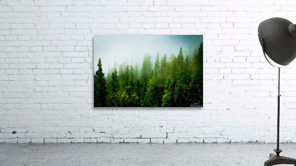 Misty Pines Wall Preview