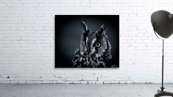 Watchful Owl Wall Preview