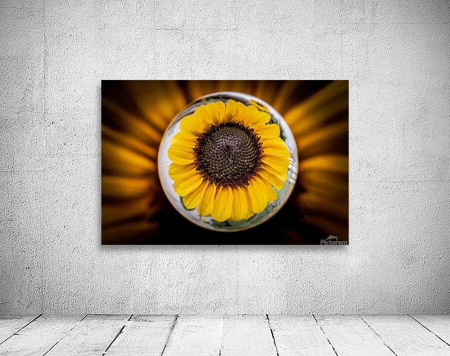 Sunflower 1 Wall Preview