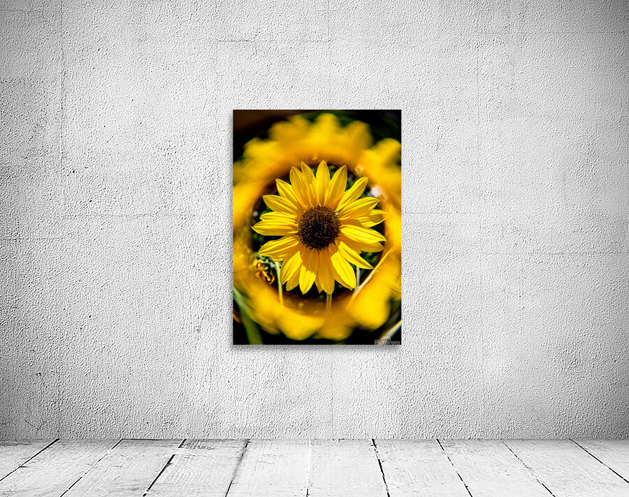 Sunflower 3 Wall Preview