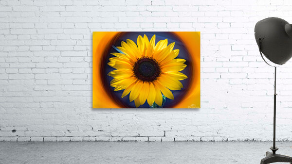 Sunflower 2 Wall Preview