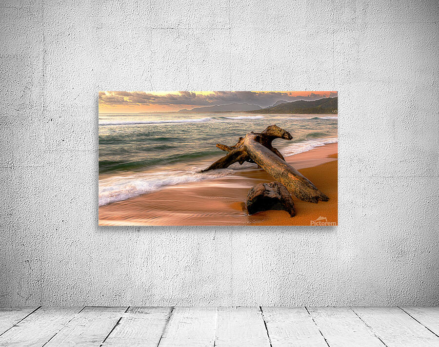 Driftwood Dreaming Wall Preview