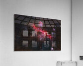 Seagull Nebula  Acrylic Print