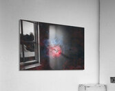 Trifid Nebula Acrylic Print
