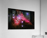 Horsehead Nebula  Acrylic Print