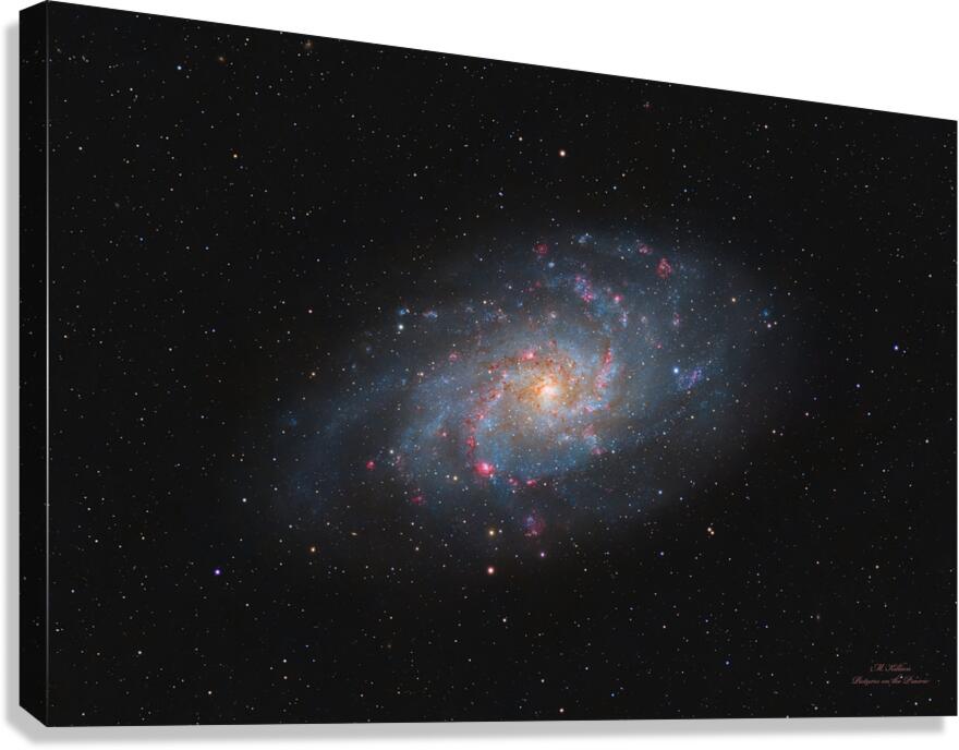 Triangulum Galaxy M33 Canvas Print
