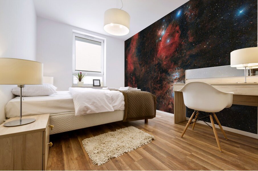 Orion Complex Mural print