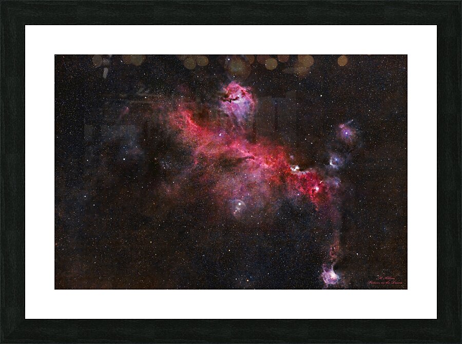 Seagull Nebula  Picture Frame print