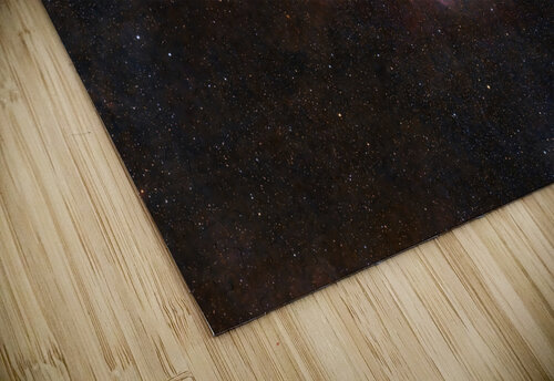 Seagull Nebula  Mark Killion puzzle