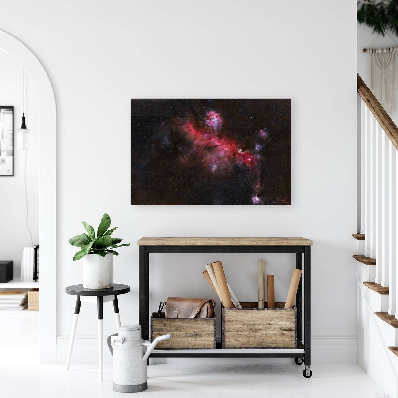 Seagull Nebula  Reproduction