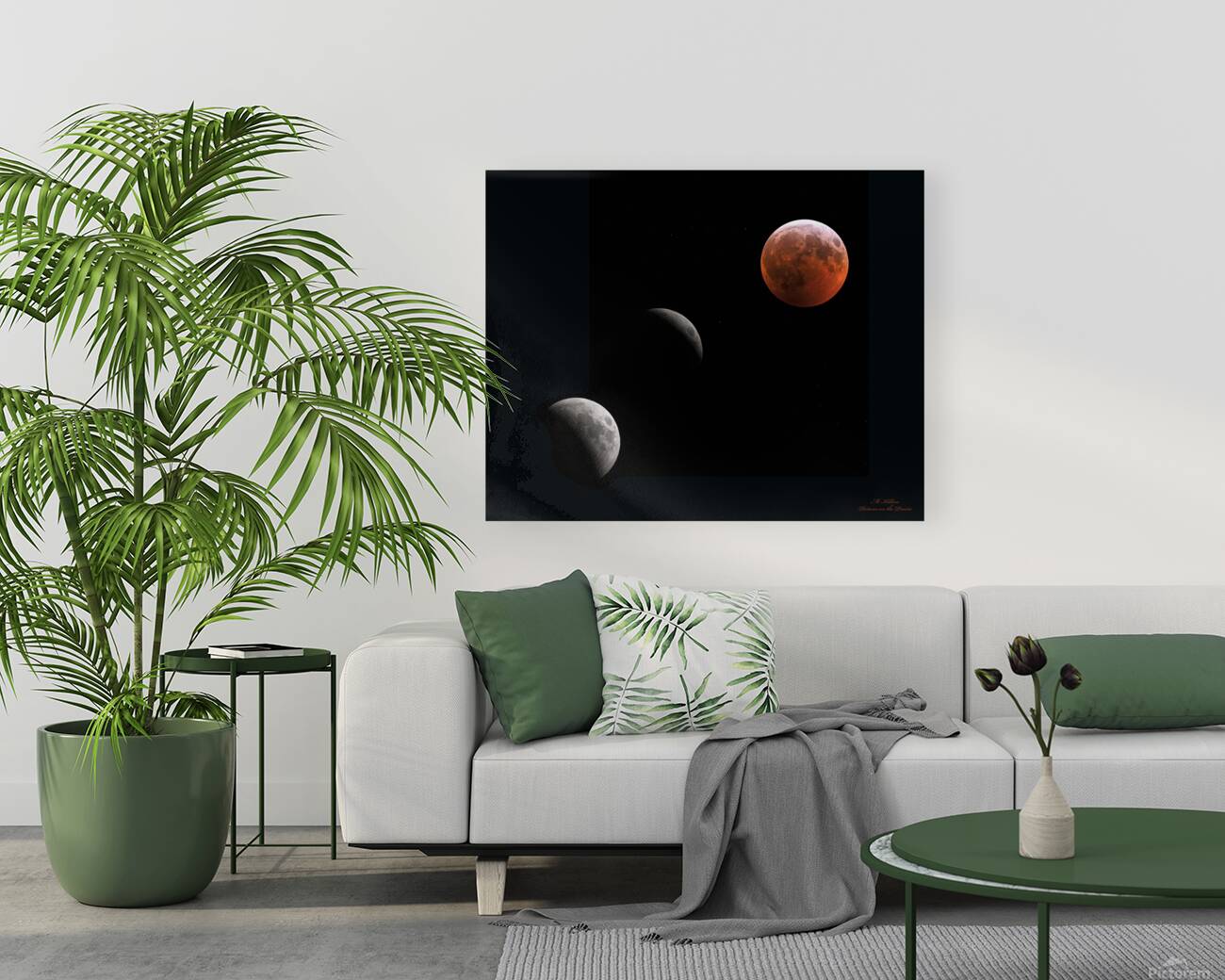 2019 Lunar Eclipse Phases Reproduction